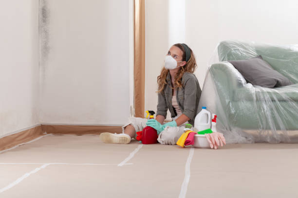 Reliable Mold Remediation contractor in New Prague, MN by WQB Mold Removal